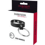 DARKNESS METAL RING FOR THE PENIS AND TESTICLES
